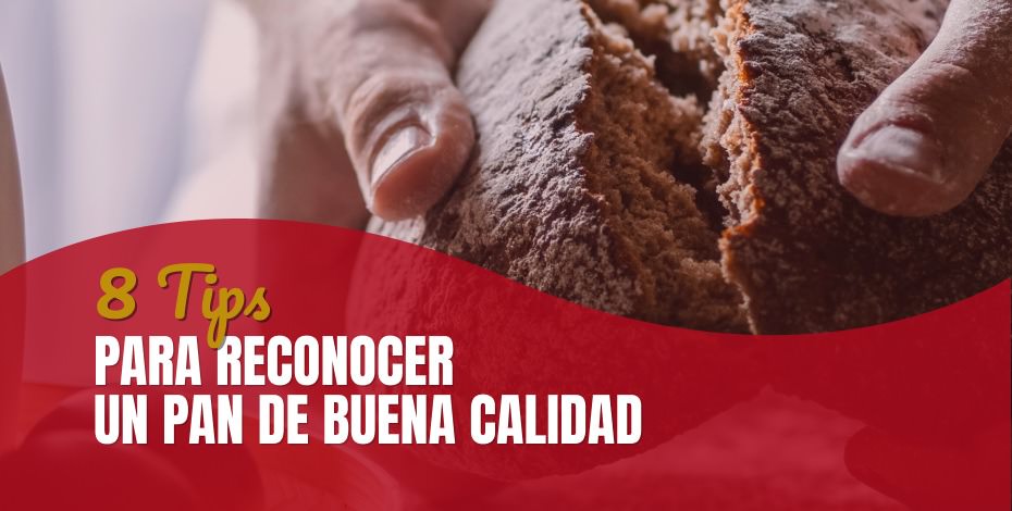8 Tips para reconocer un pan de buena calidad